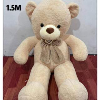 only teddy bear