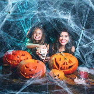 Multicolor Stretchy Cobweb Artificial Spider Web Halloween Decoration Scary Party Scene Props #9