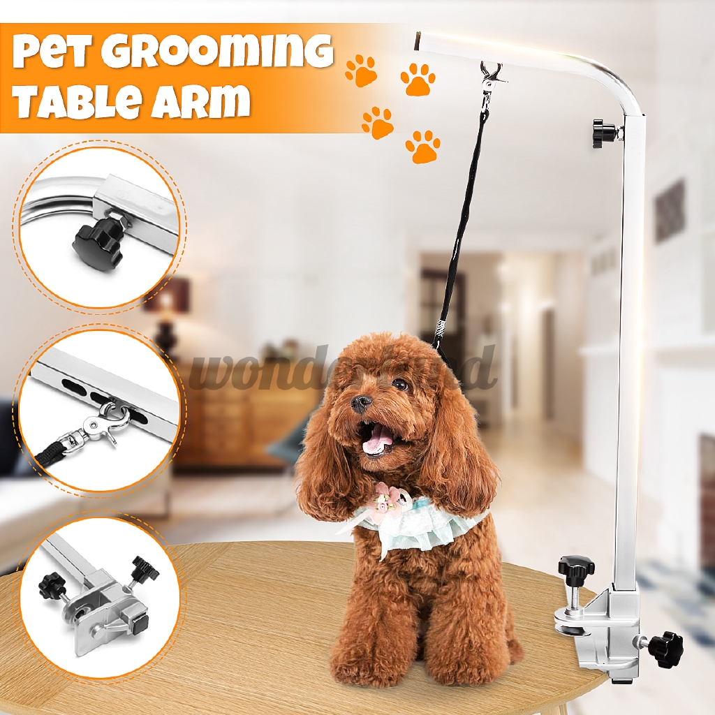 portable grooming table with arm