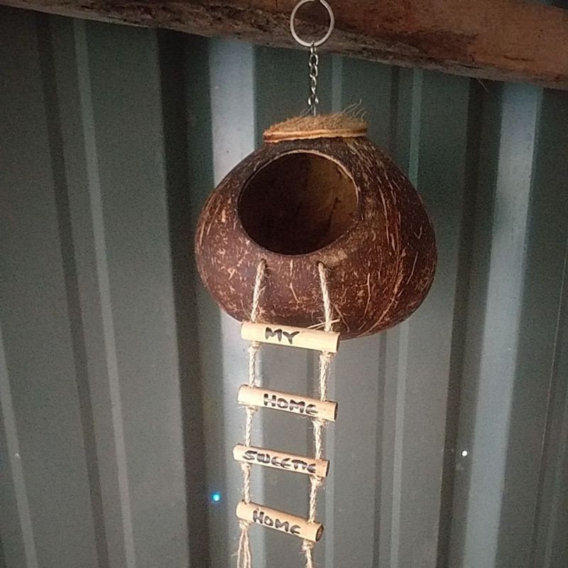 Bird house coconut shell ( home sweetie home ) Shopee Philippines