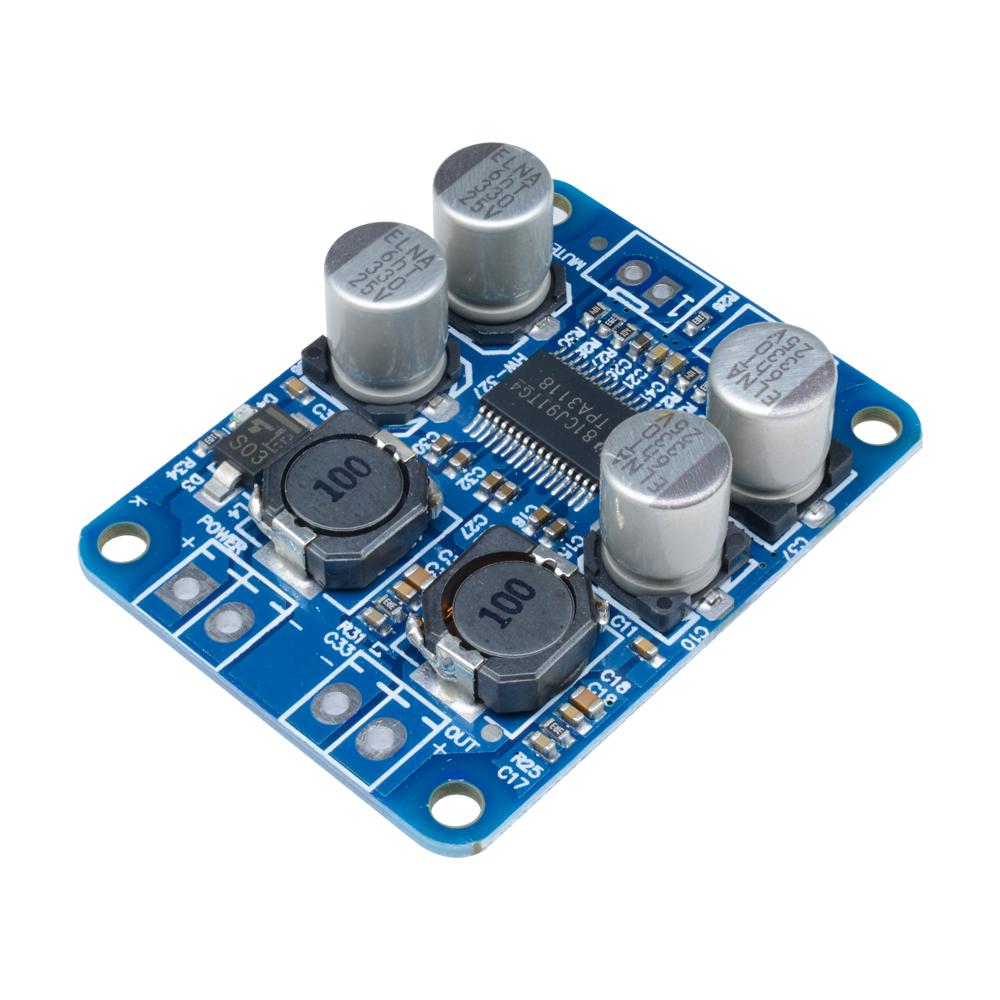 1*60W 8-24V POWER AMP Replace TPA3110 TPA3118 PBTL Mono ...