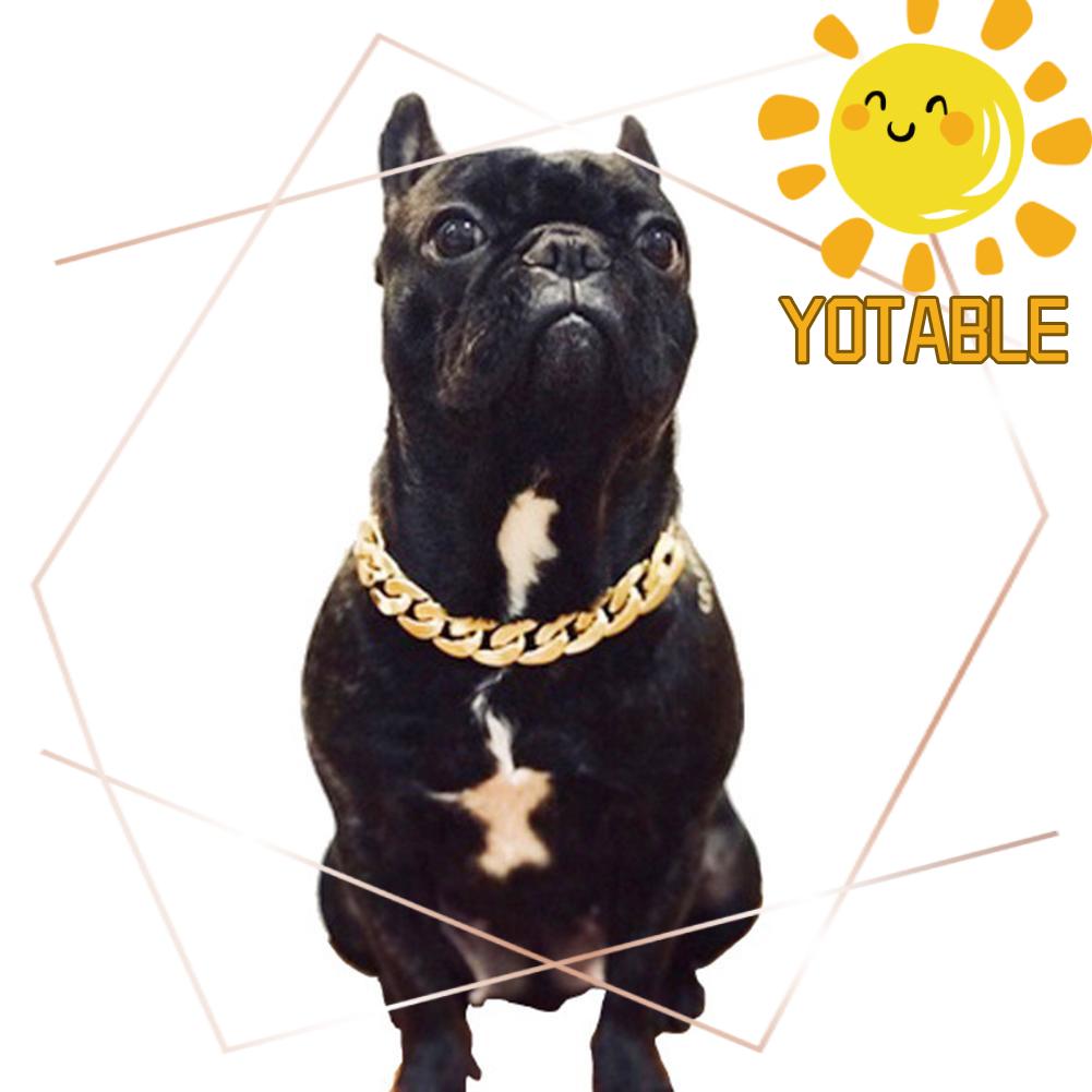 fashion dog collars and leashes