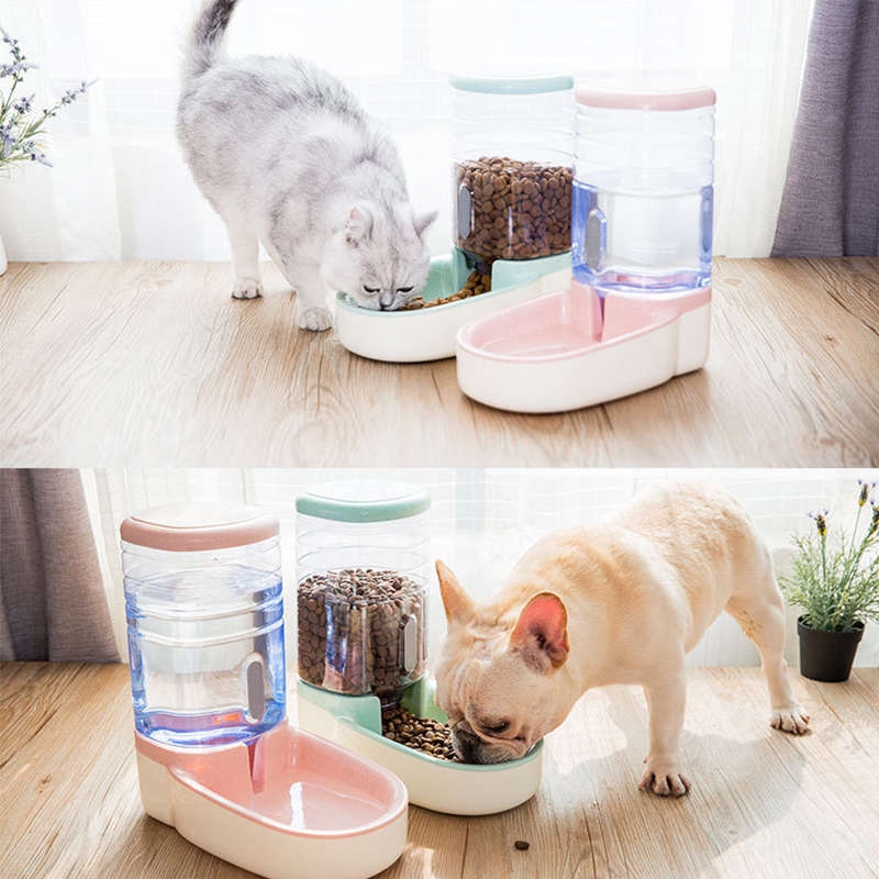 dog automatic water dispenser