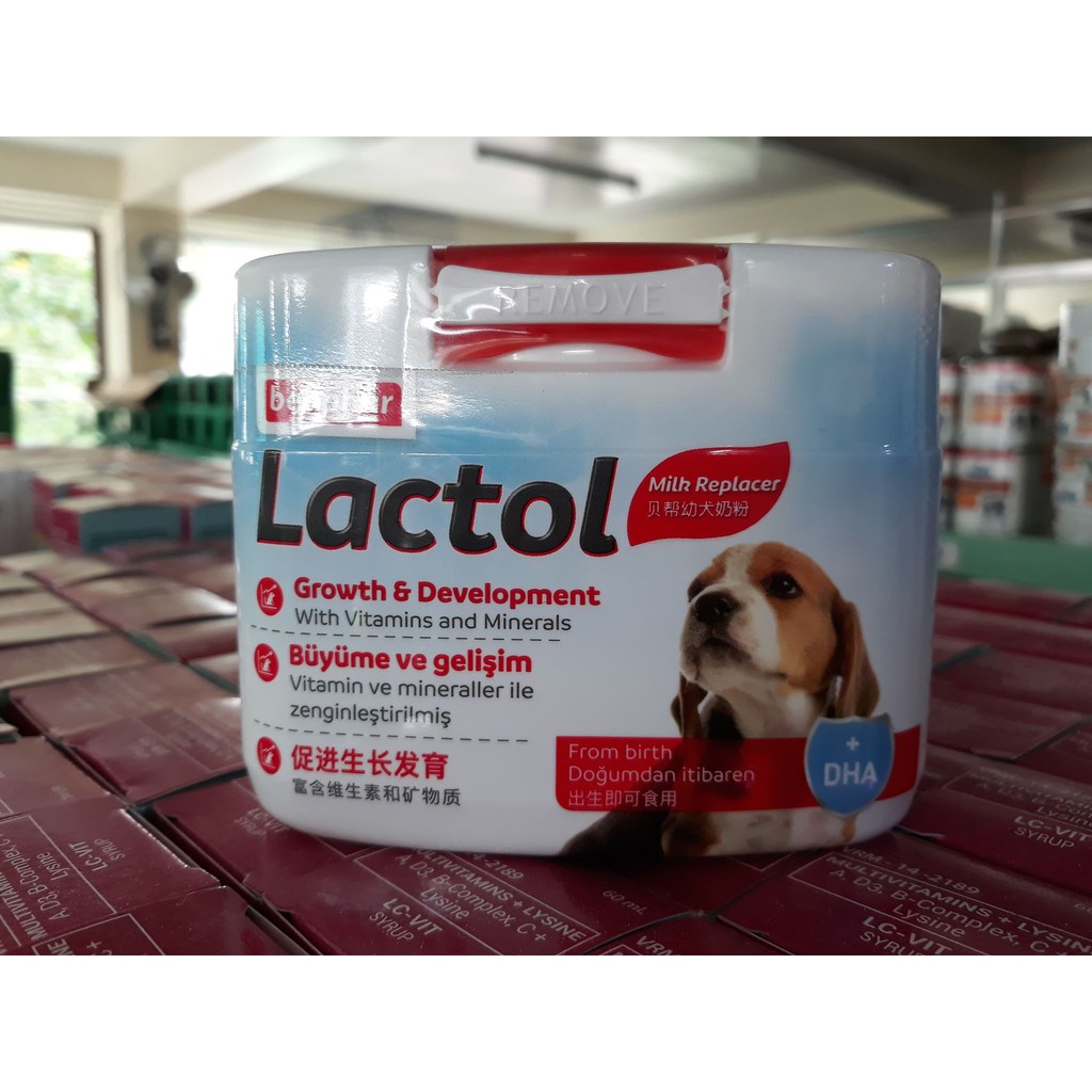 Lactol Milk Replacer 250g Shopee Philippines