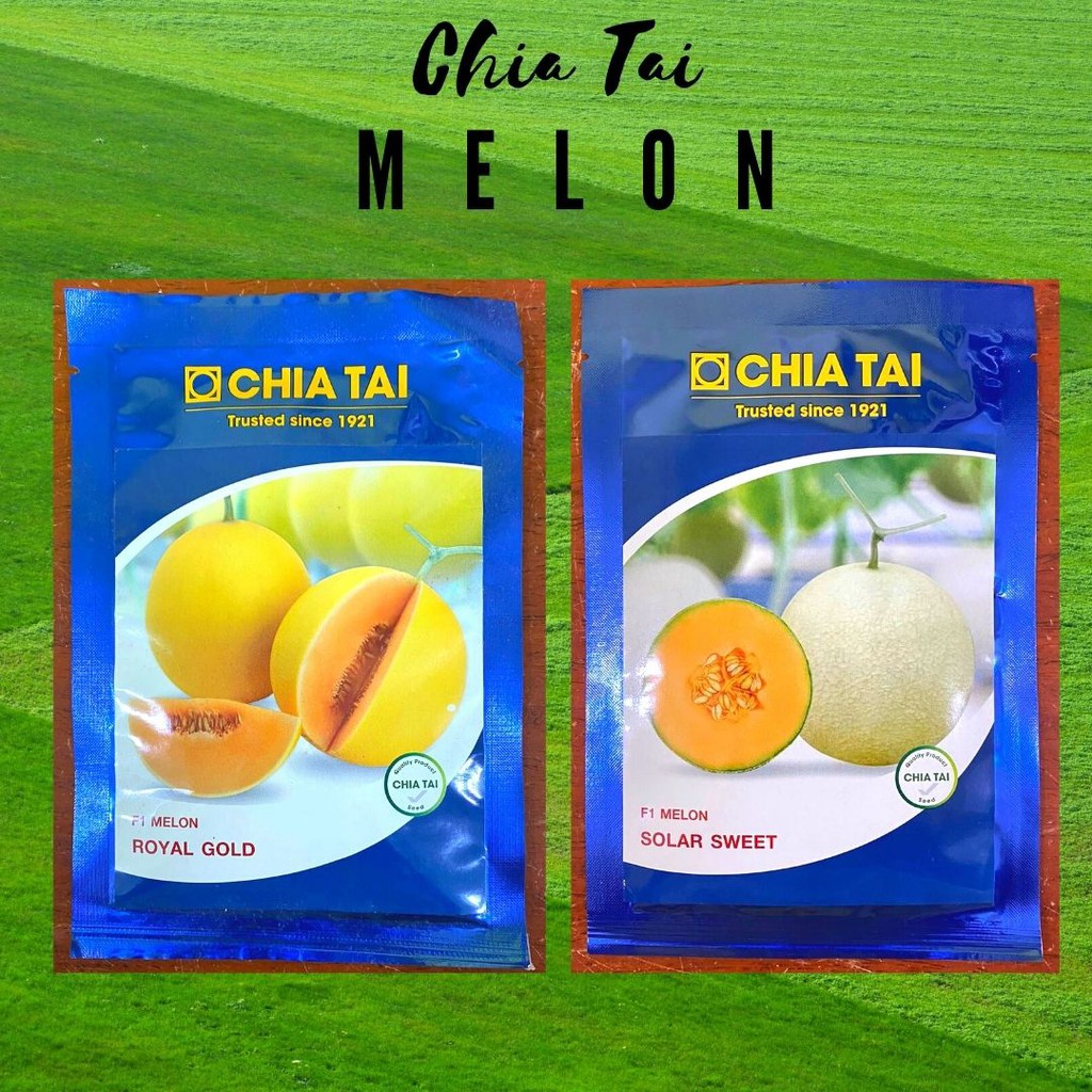 Chia Tai MELON 10g Seeds | Shopee Philippines
