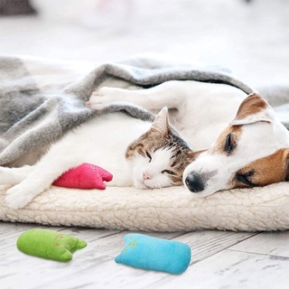 Teeth Grinding Catnip Toys Funny Interactive Plush Cat Toy Pet Kitten Chewing Vocal Toys #4