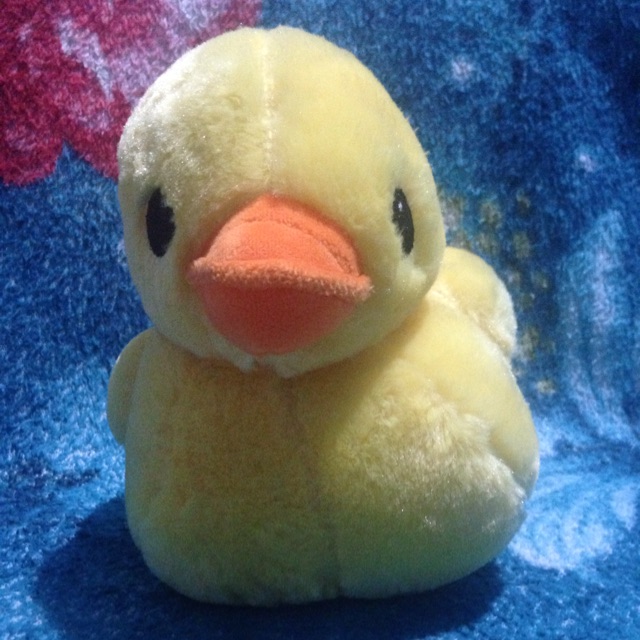 stuffed rubber duck