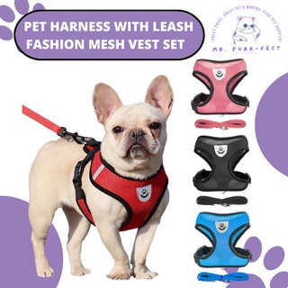 Dog Harness with Leash Puppy Fashion Mesh Vest + Leash Lead Set