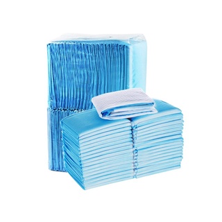 BUY 10 SHIP 30 Dog Training Pad Pet Pee Pad Dog Potty Pads Cat Dog Pee Training Pad Pet Wee Pee Poop #6