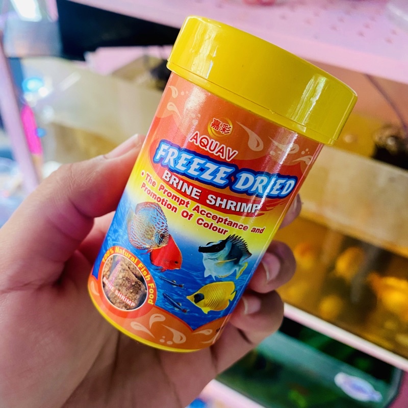 100ML FREEZE DRIED BABY BRINE SHRIMP BBS | Shopee Philippines