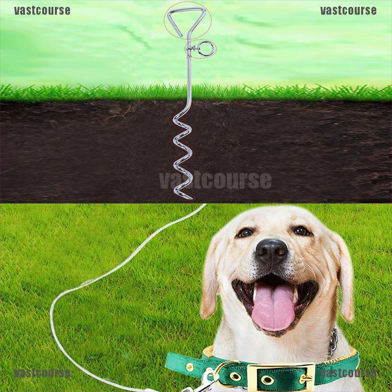 dog tie out lead