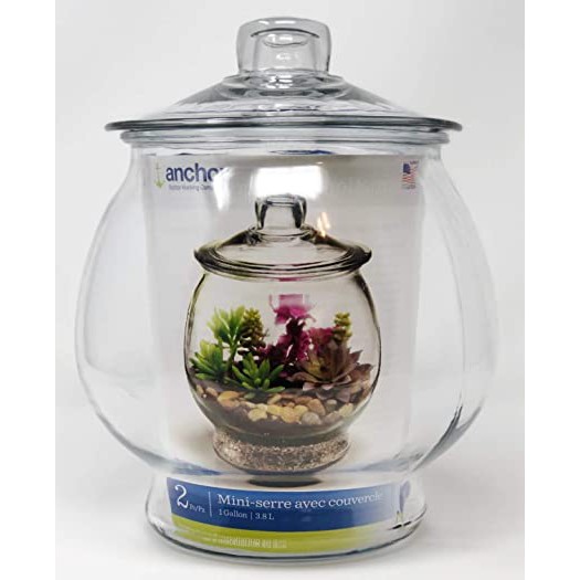 Anchor Hocking 1 Gallon Terrarium for Succulent Plants With Lid