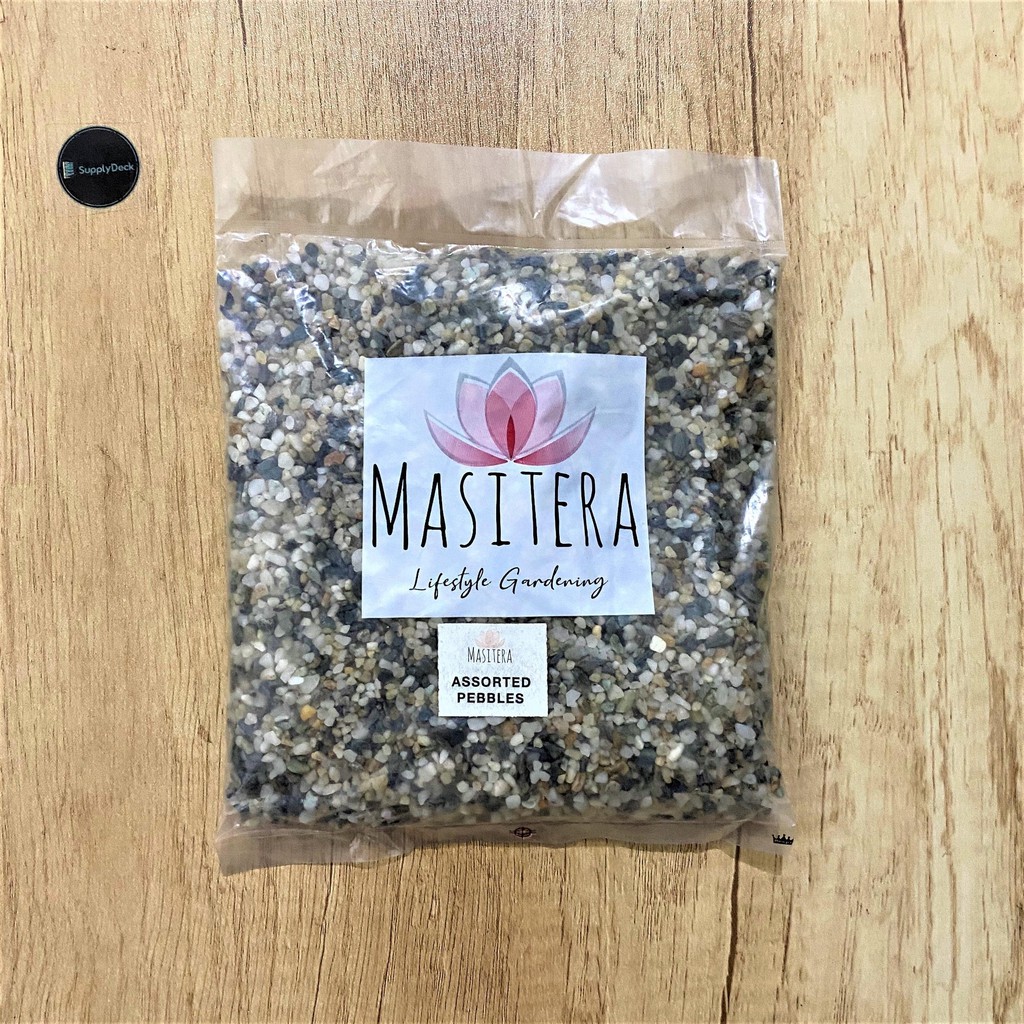 Masitera Assorted Pebbles for Cactus and Succulents 500g - Supply Deck ...