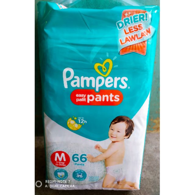 pampers dry pants price