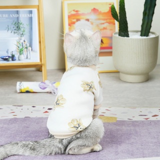 MOLI Pet Clothes New Style Cat Lolita Bear Sweatshirt Autumn Winter Simple Cute Costume