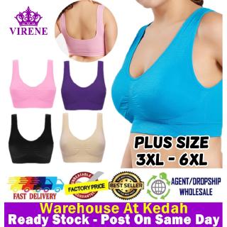 the warehouse sports bra