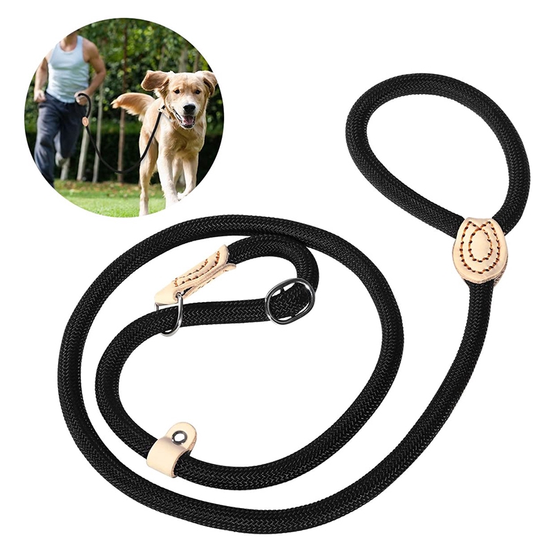 the dog leash