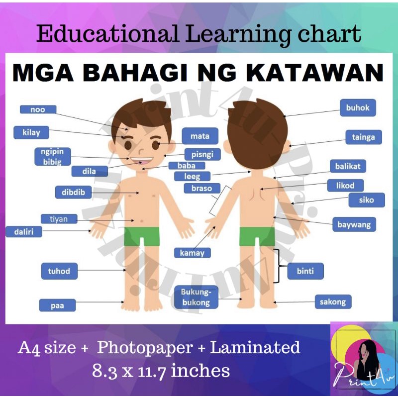 Mga Bahagi Ng Katawan Learning Chart Tagalog Laminated Shopee Philippines