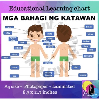 Bilang 1-10 Tagalog Numbers Laminated Educational Wall Charts A4-size ...