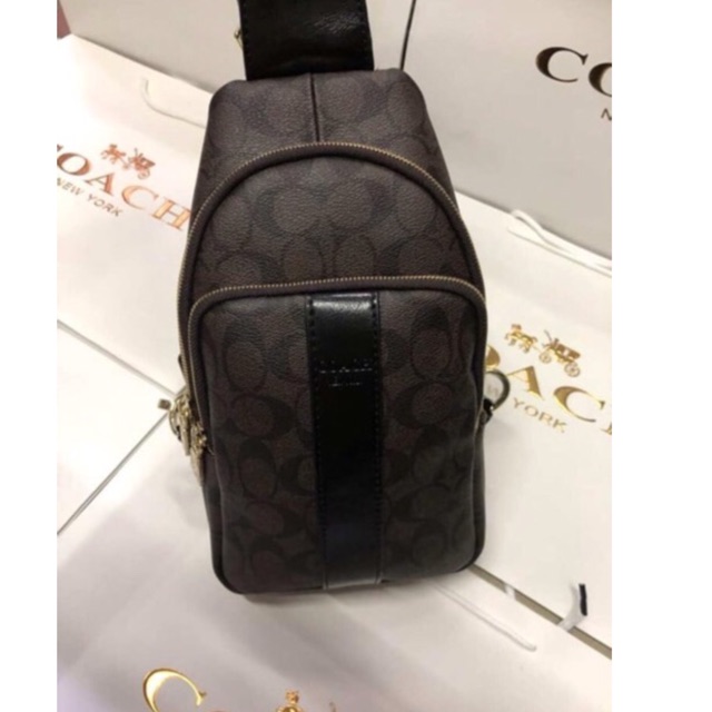 coach side bag