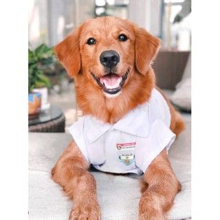 Pet dog/cat UST uniform POLO #2