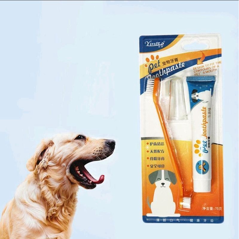 Toothpaste oral care dogs and cats toothpaste set Shopee Philippines