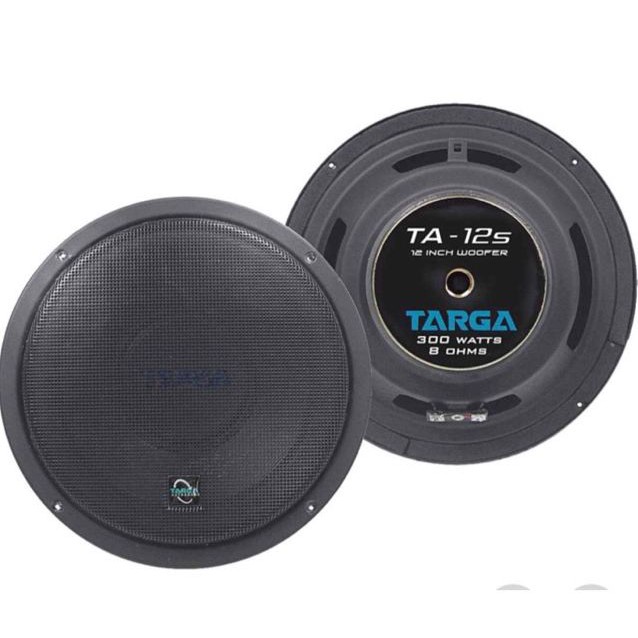 speaker 8 inch 300 watt