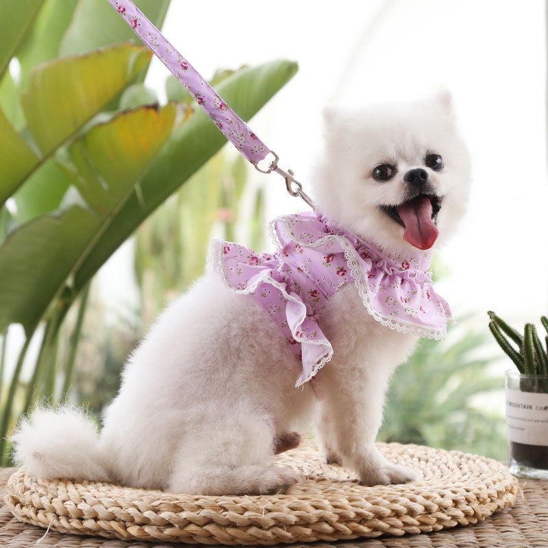 Pet Dog Harness Floral Lace Chest Strap Floral Lace Style Dog Leash Pet Chest Strap Leash Dog Collar Accessories