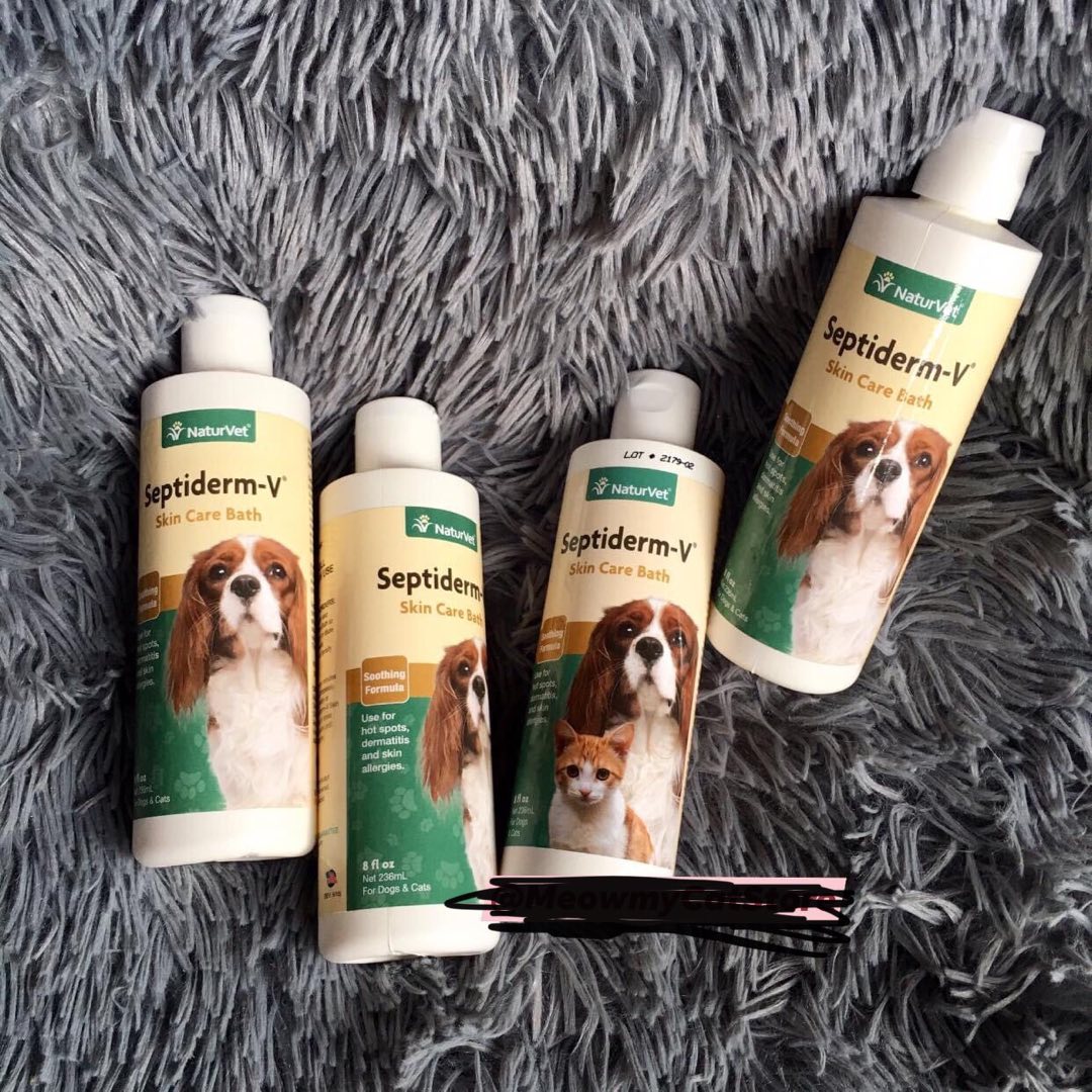 Best Cat Shampoo For Allergies For 2023 Mypetsabout