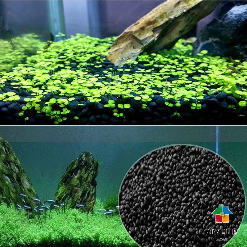 super cute golden retriever puppies