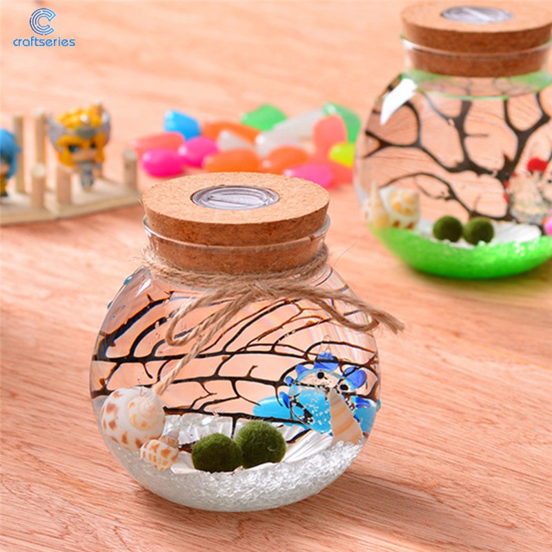 Glass Bottle Jar Hydroponic Terrarium Light Led Cork Stopper Ecological Night 