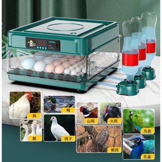 220V 6/10/12 Eggs Incubator Fully Automatic Turning Hatching Brooder Farm Bird Quail Chicken Poultry
