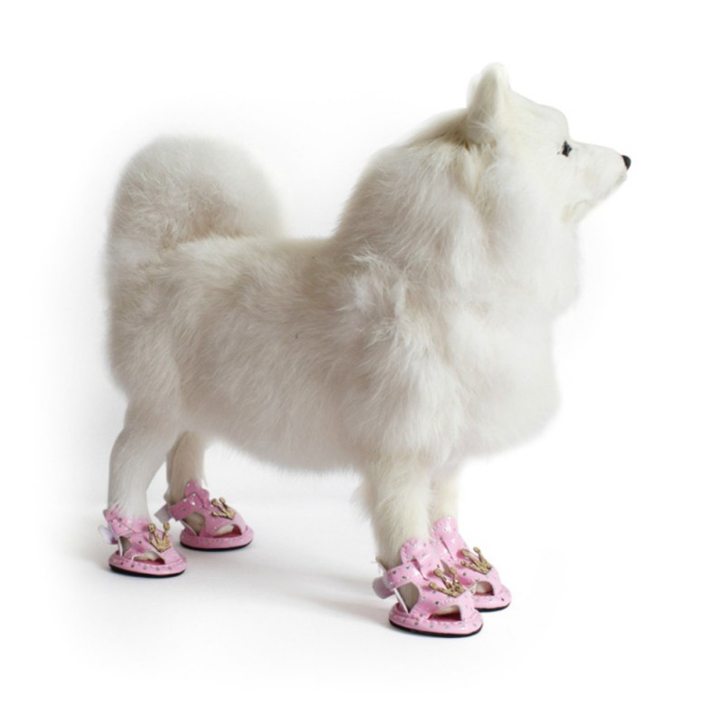 dog shoes shopee