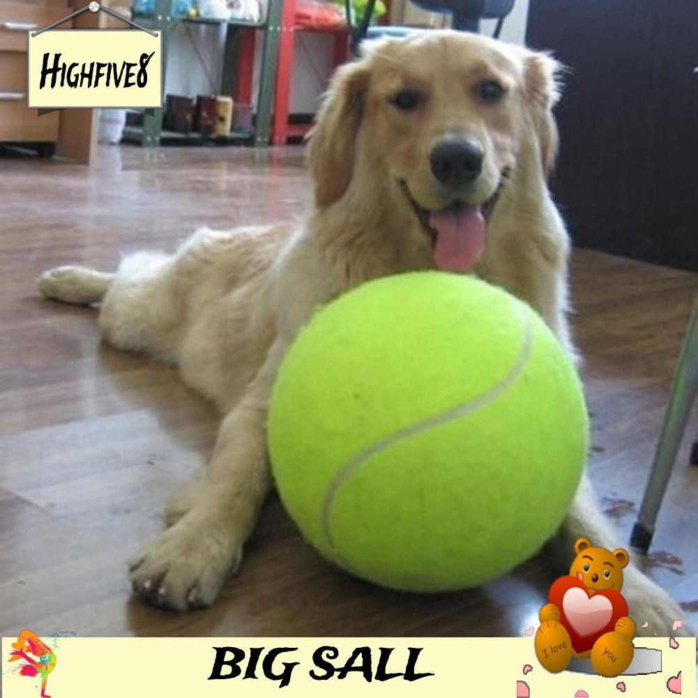 is it safe to give dogs antihistamines