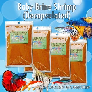 BABY BRINE SHRIMP (DIRECT SUPPLIER) Decapsulated 600-1.2kg fish food - betta, small fish BBS Artemia