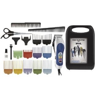 wahl color pro for sale