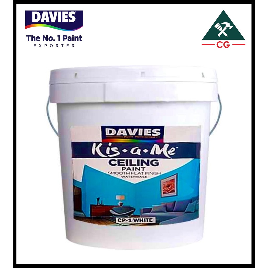 DAVIES 16 liters Waterbased CEILING Paint (Smooth Flat White) Shopee