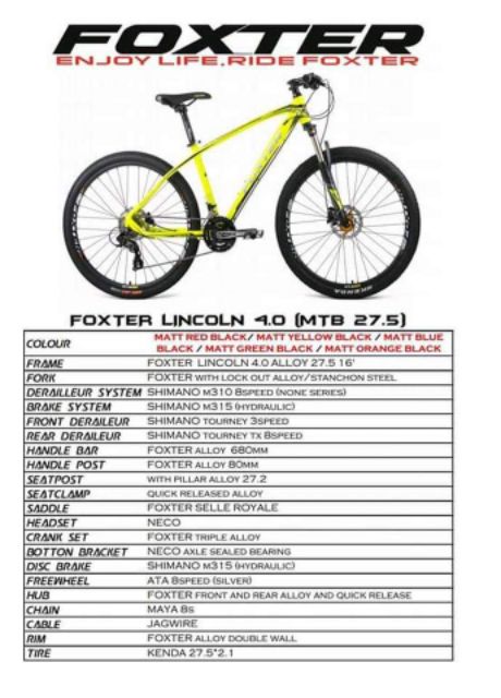 foxter lincoln 4.0 29er