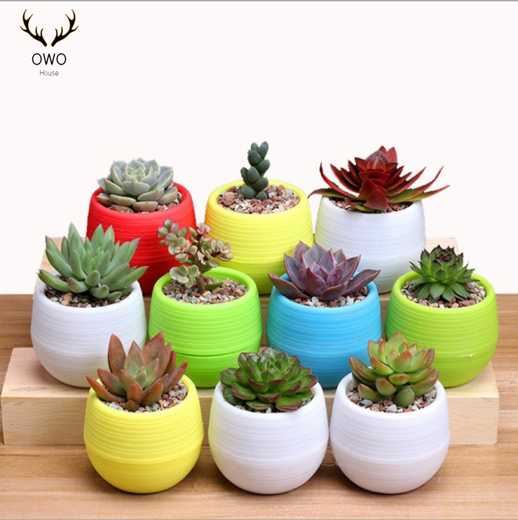 New Small Cute Round Home Garden Office Decor Planter Plastic Plant Flower Pots 