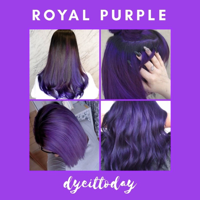 Royal Purple Hair Dye Set (Bleach and Color) | Shopee Philippines
