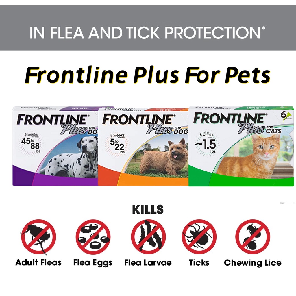 Frontline Plus Flea and Tick Spot Treatment for Dogs Repellent Anti-Flea Anti-Itching