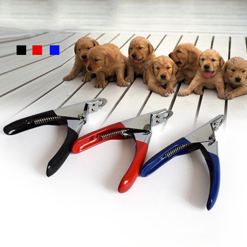 target dog clippers