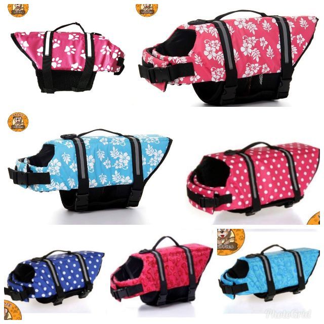 doggie swim vest