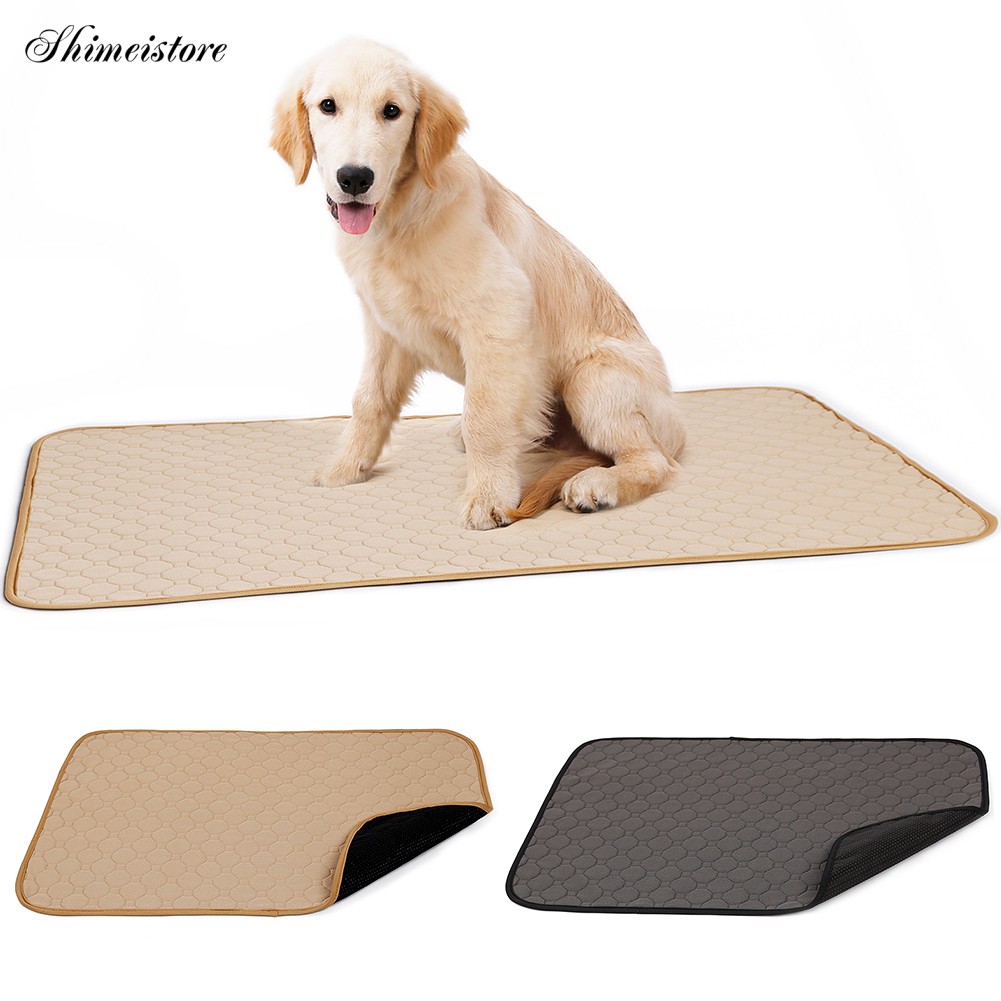 absorbent dog mat