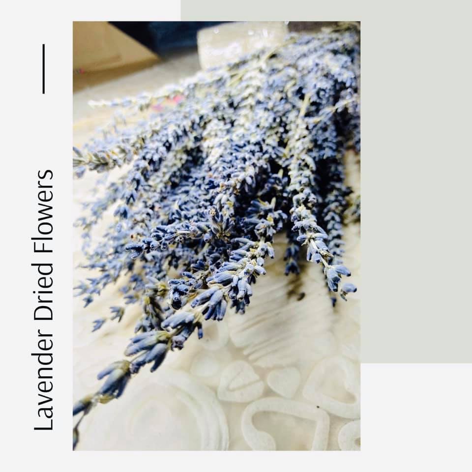 Lavender (Dried Flowers) Shopee Philippines