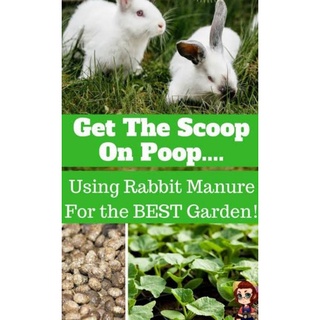 rabbit poop's (organic fertilizer) #4
