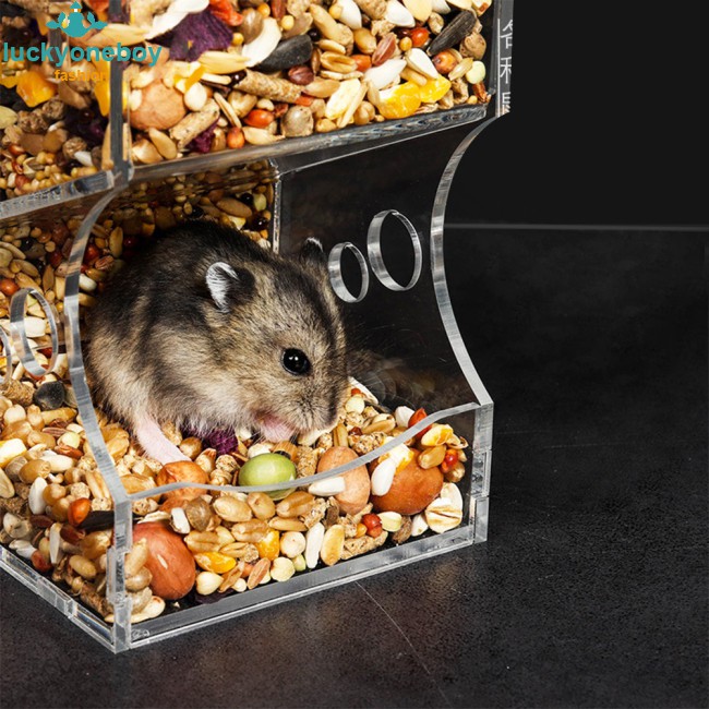 Automatic Pet Feeder With Fixing Holes For Hamster Squirrel