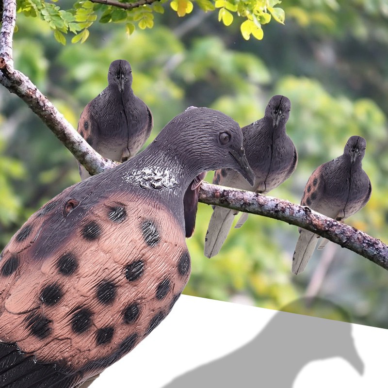 dove decoys