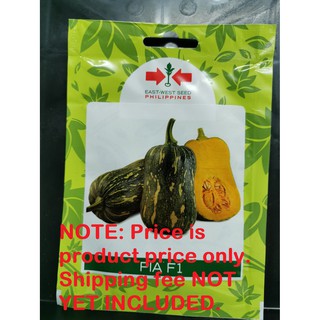 SQUASH PIA F1 SEEDS BY EASTWEST GARDEN PACK #3