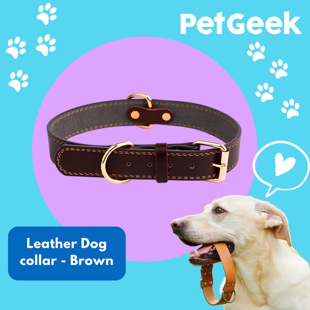 PU Leather Collar Dog Collar #1
